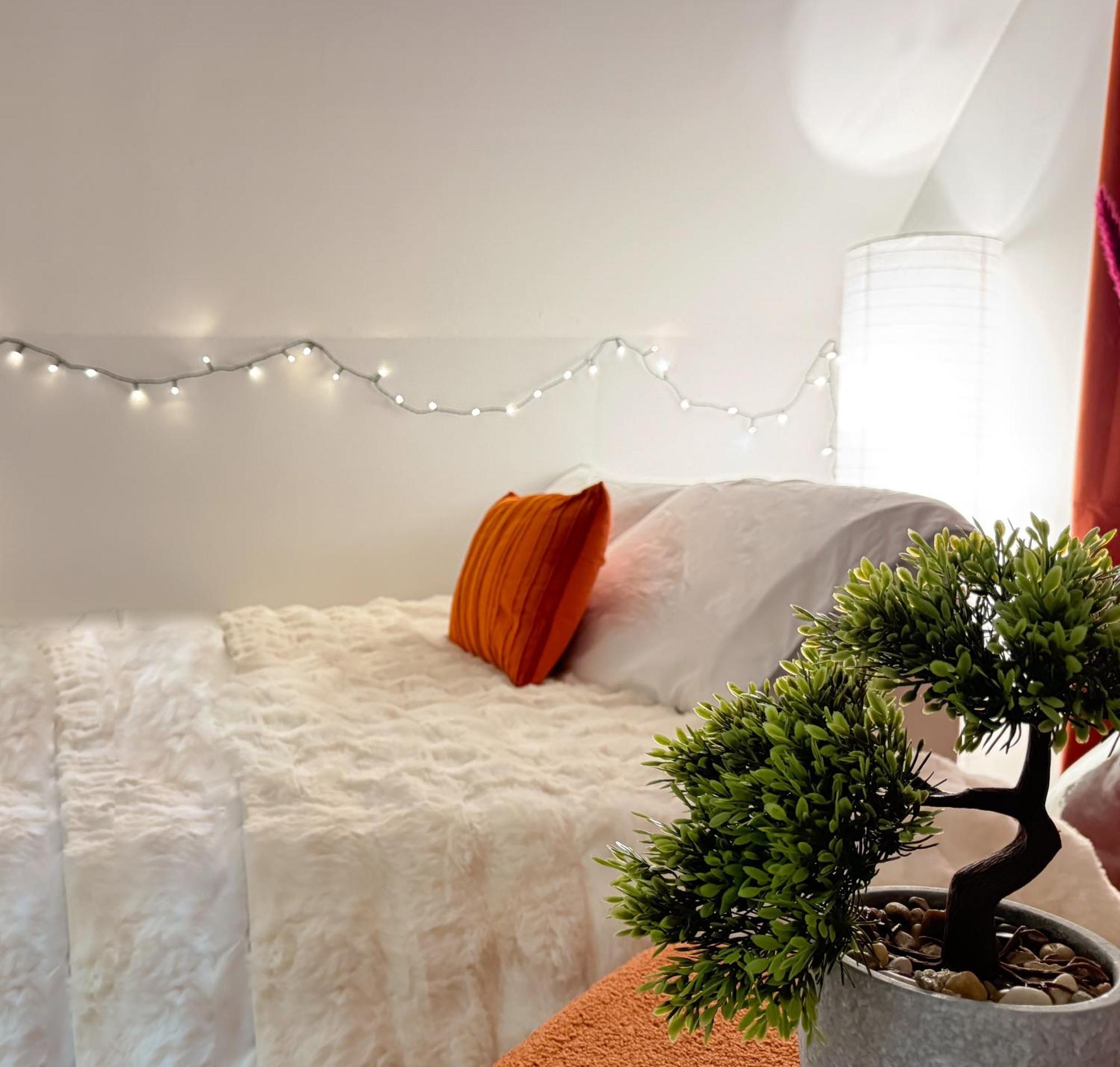La Douceur - Hypercentre Pieton De Troyes - Cozy Apartment Bagian luar foto