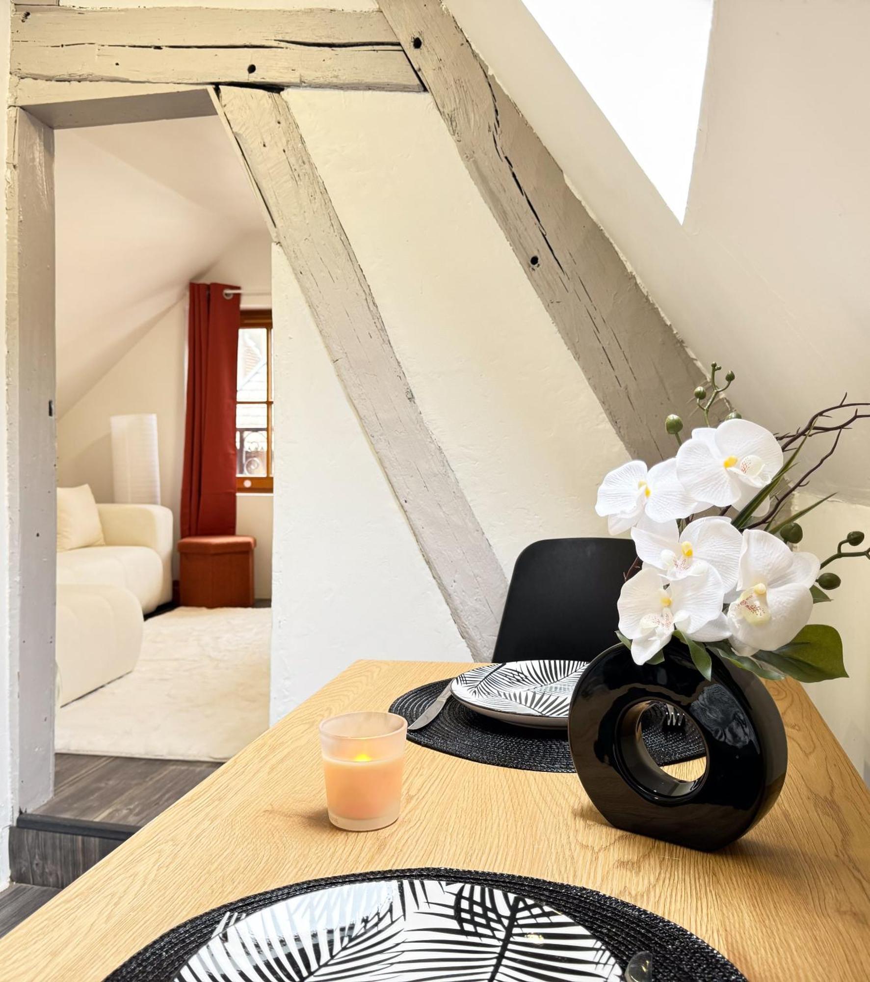 La Douceur - Hypercentre Pieton De Troyes - Cozy Apartment Bagian luar foto